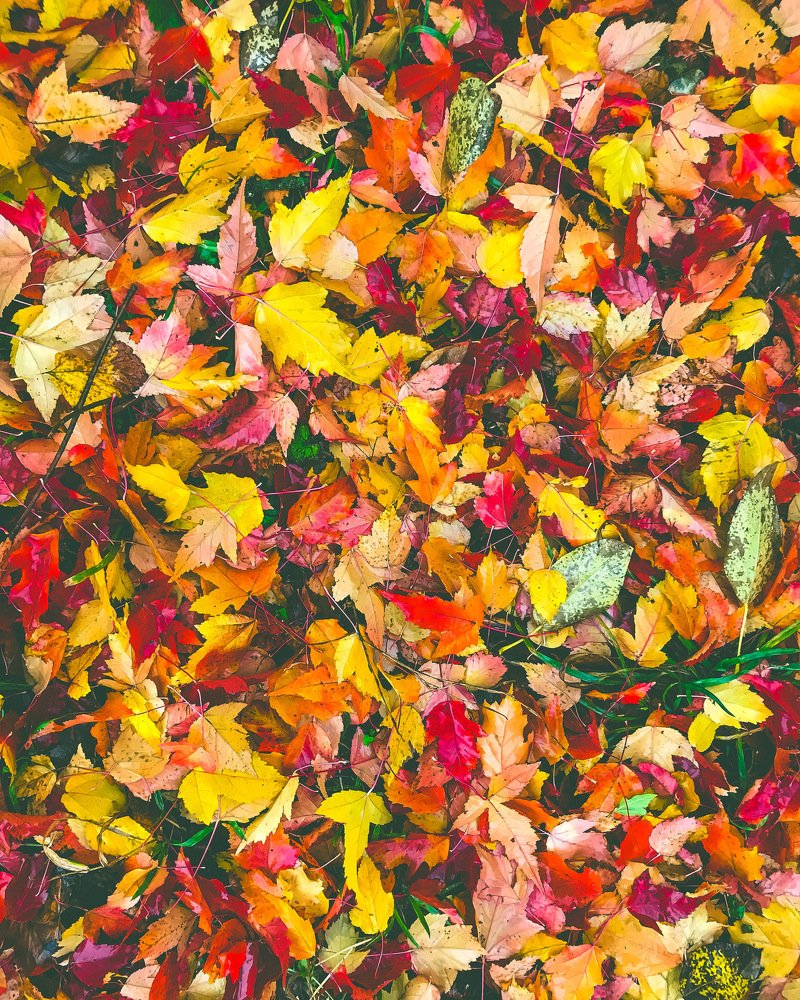 Photograph by Александр Козинец