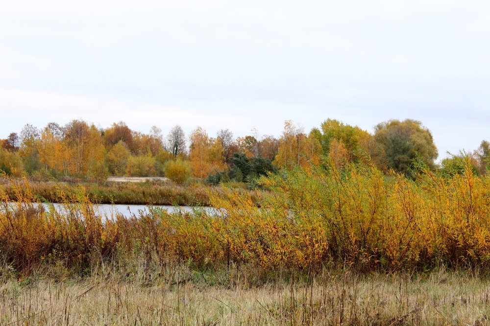 Photograph by Игорь Санюк