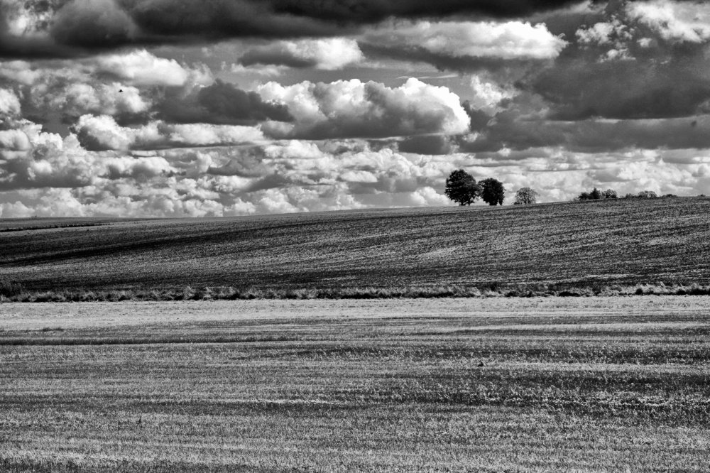 Photograph by Павел Корчагин