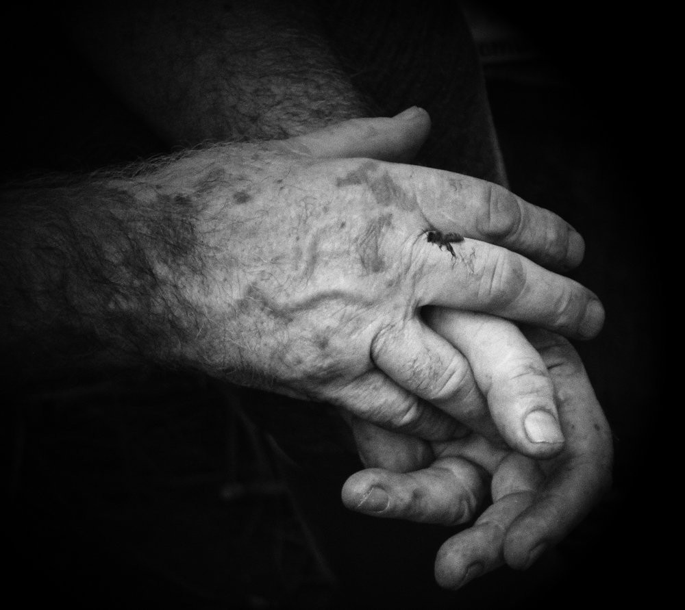 Photograph by Павел Корчагин