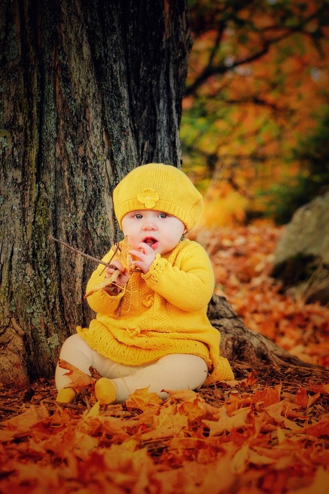 Photograph by Stephen