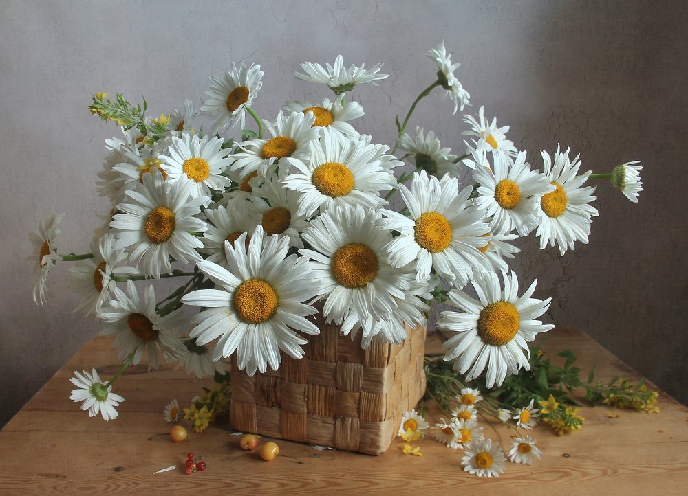 Расцвели ромашки поутру