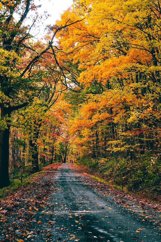 Photograph by Stephen