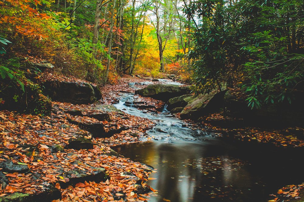 Photograph by Stephen