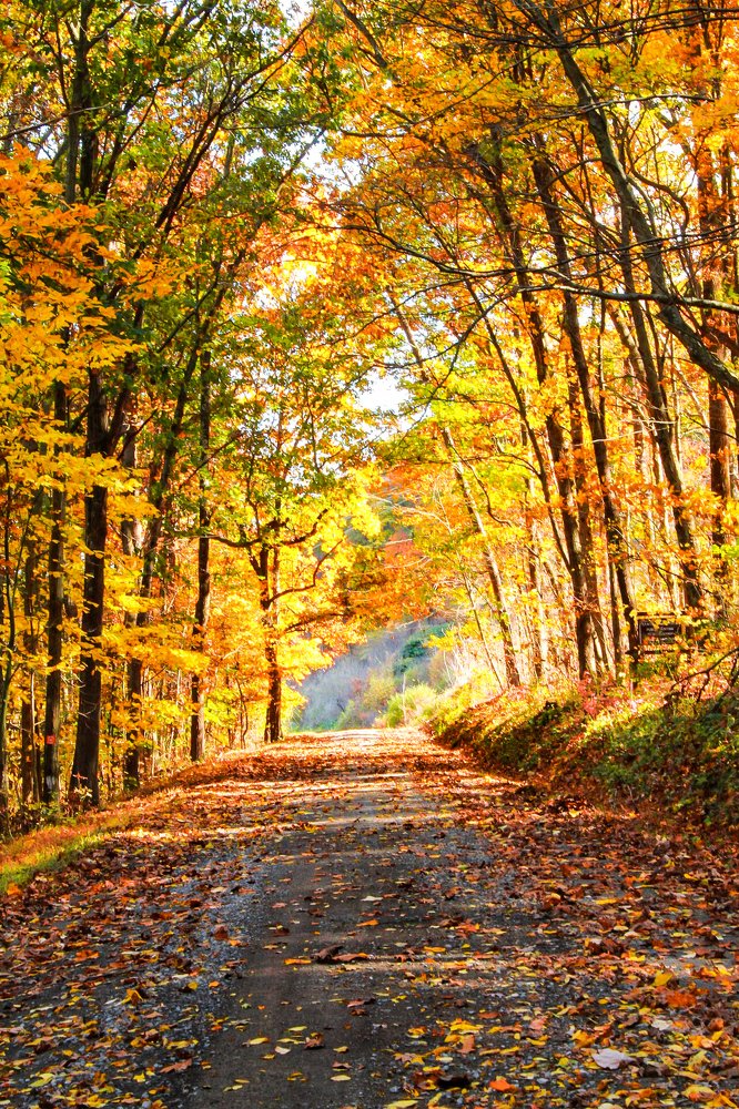 Photograph by Stephen