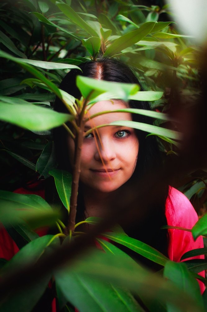 Photograph by Stephen