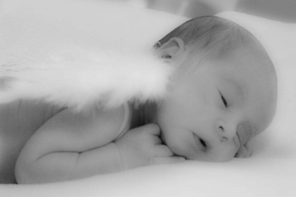 Photograph by Francisco Ferreira