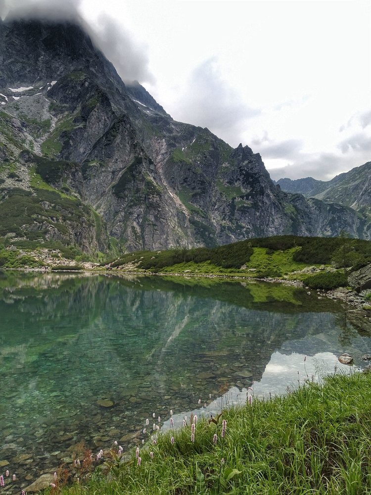 Photograph by Yosmary Alicando