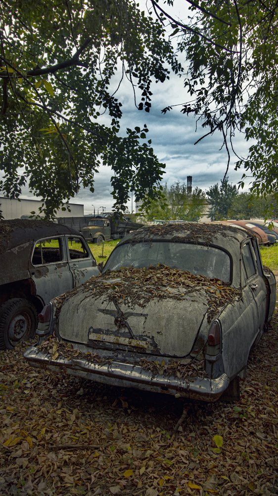 Фотография автора Дмитрий Нефёдов