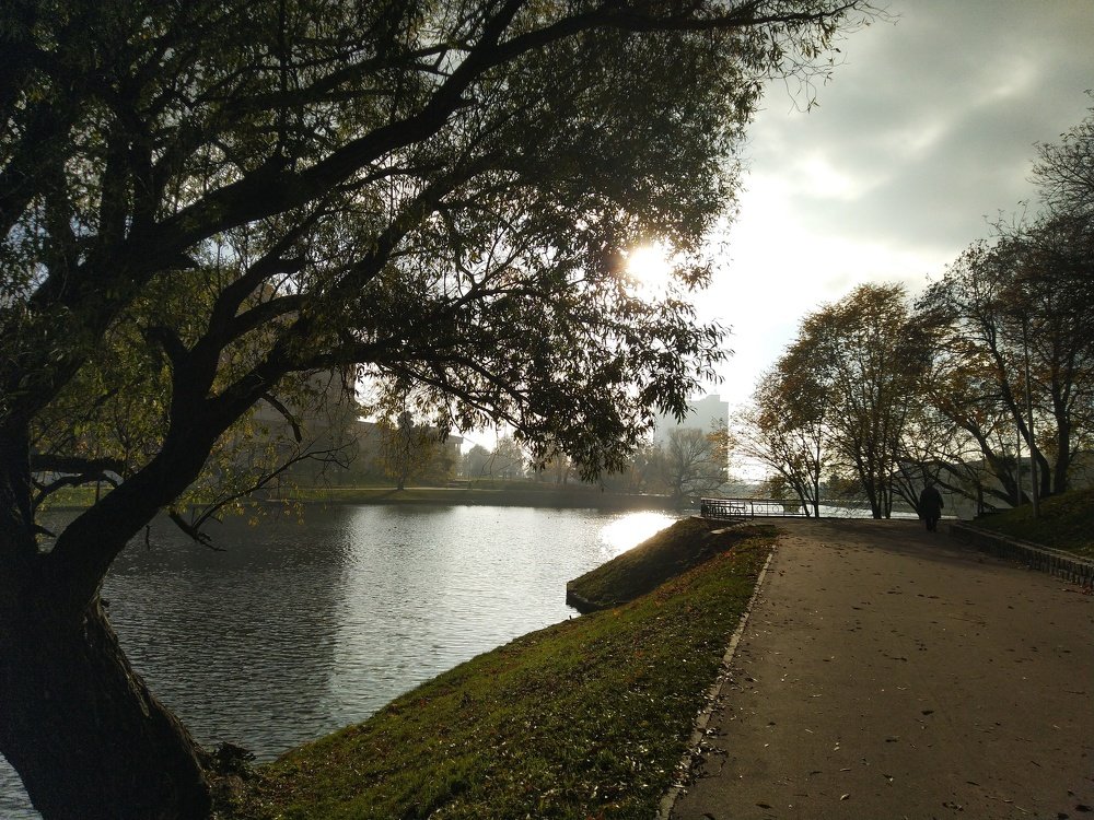 Photograph by Ирина Кулагина