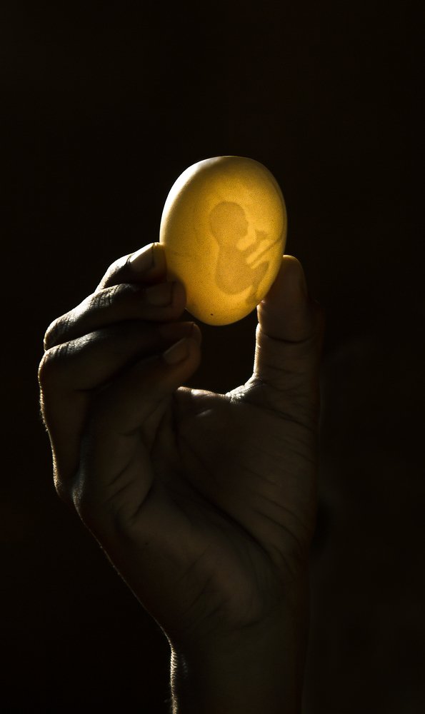 Photograph by Udara Nissanka