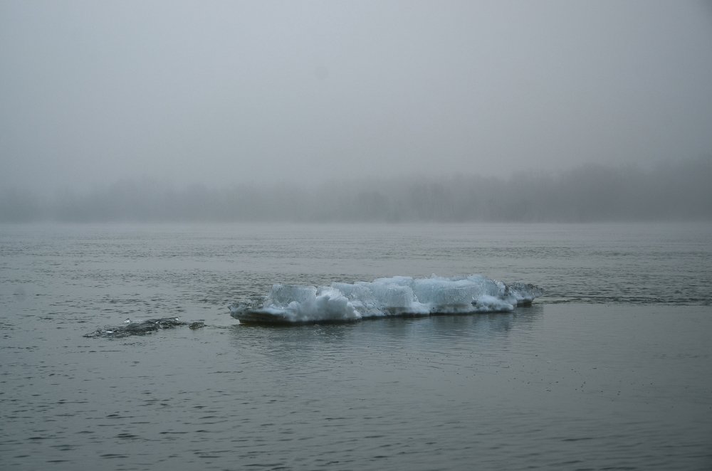 Photograph by Юрий Шмидт