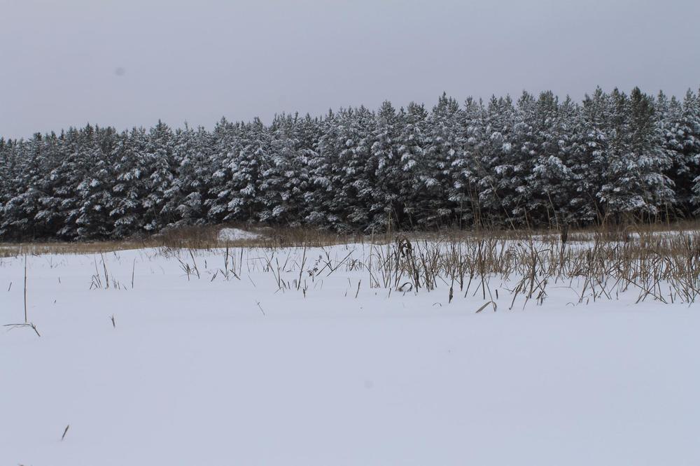 Photograph by Татьяна Перегудова