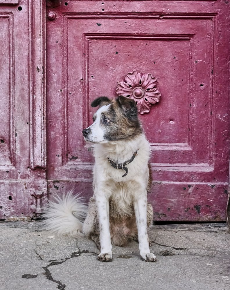 Photograph by Dmitry K