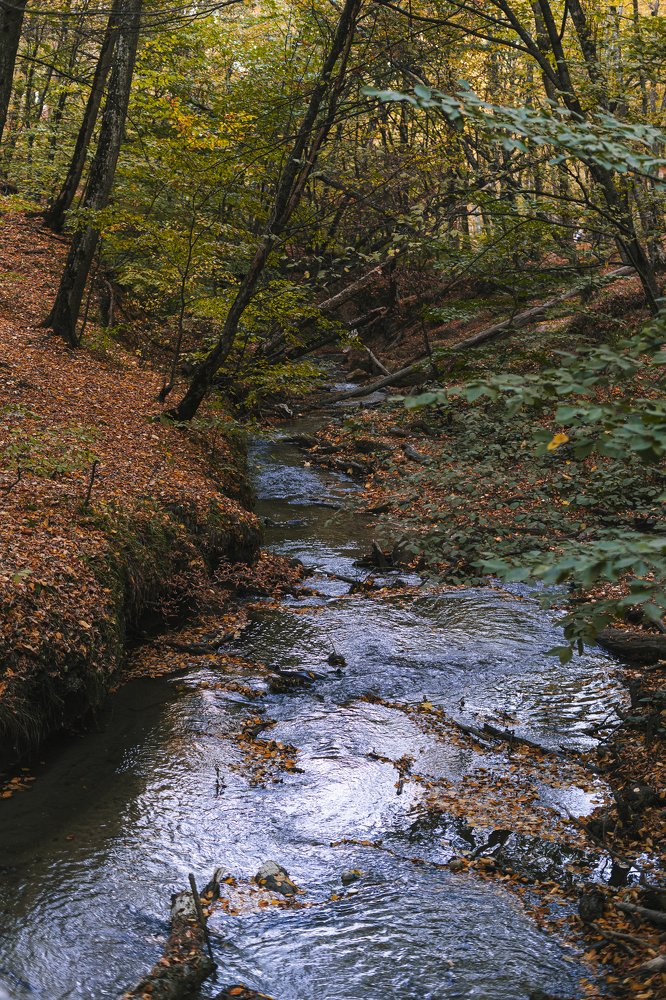 Photograph by Виктор Зотов