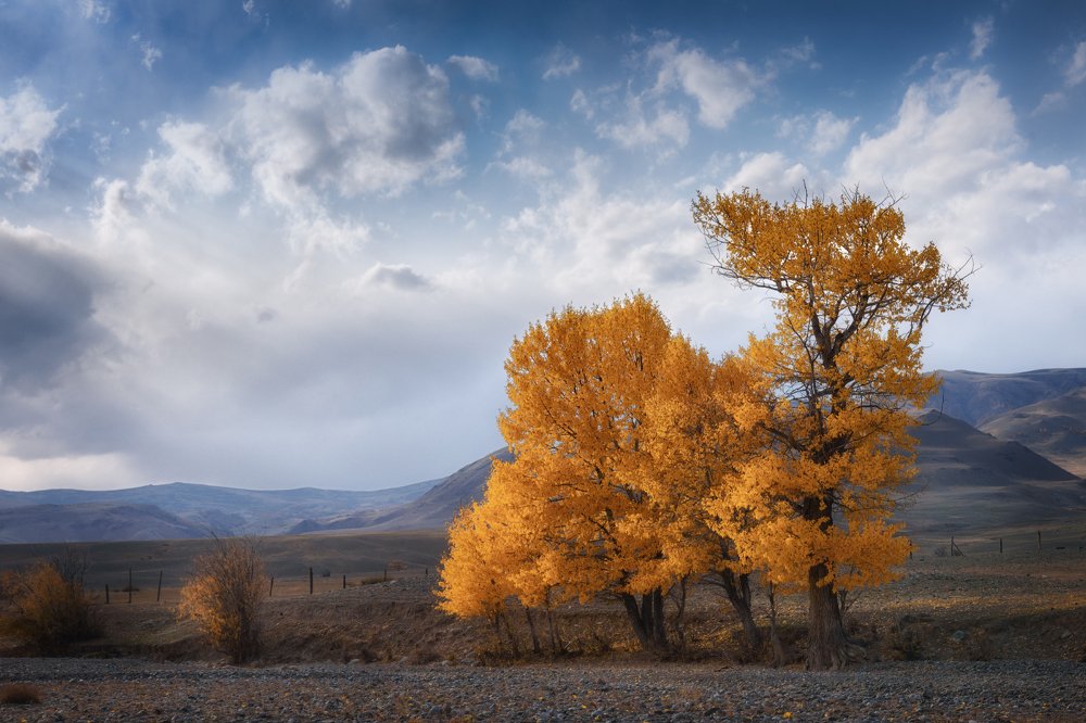 Photograph by Алена Рубан