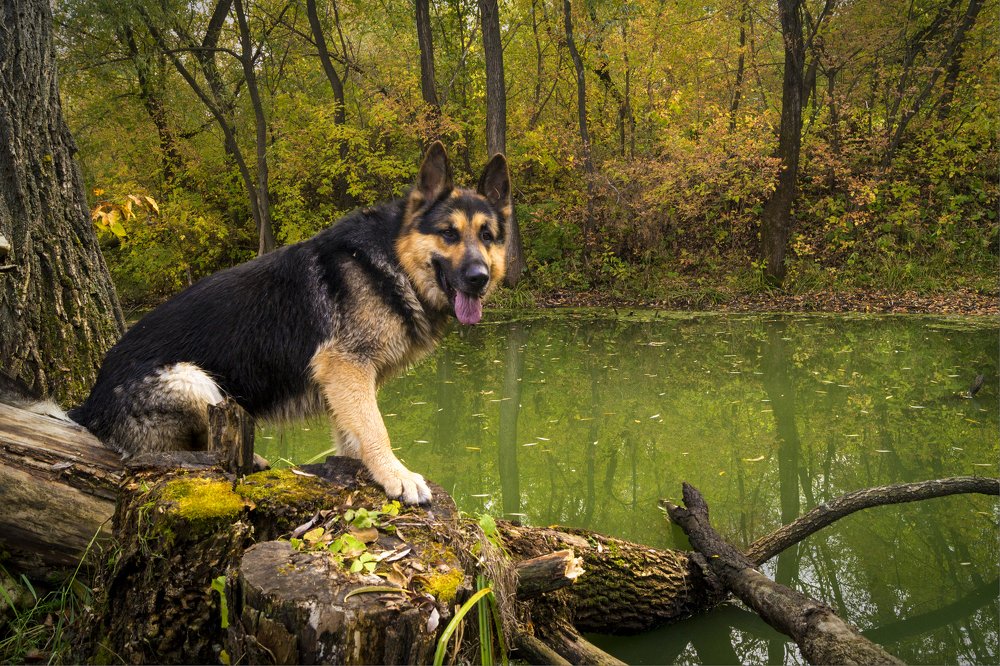 Photograph by Николай Мокшин