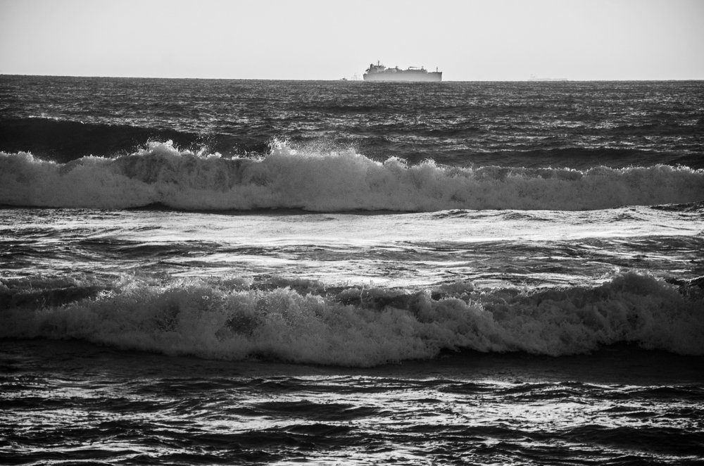 Photograph by Kushal Sharma