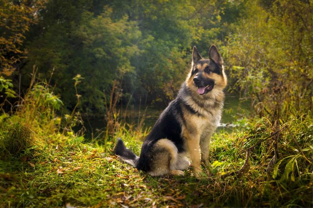 Photograph by Николай Мокшин