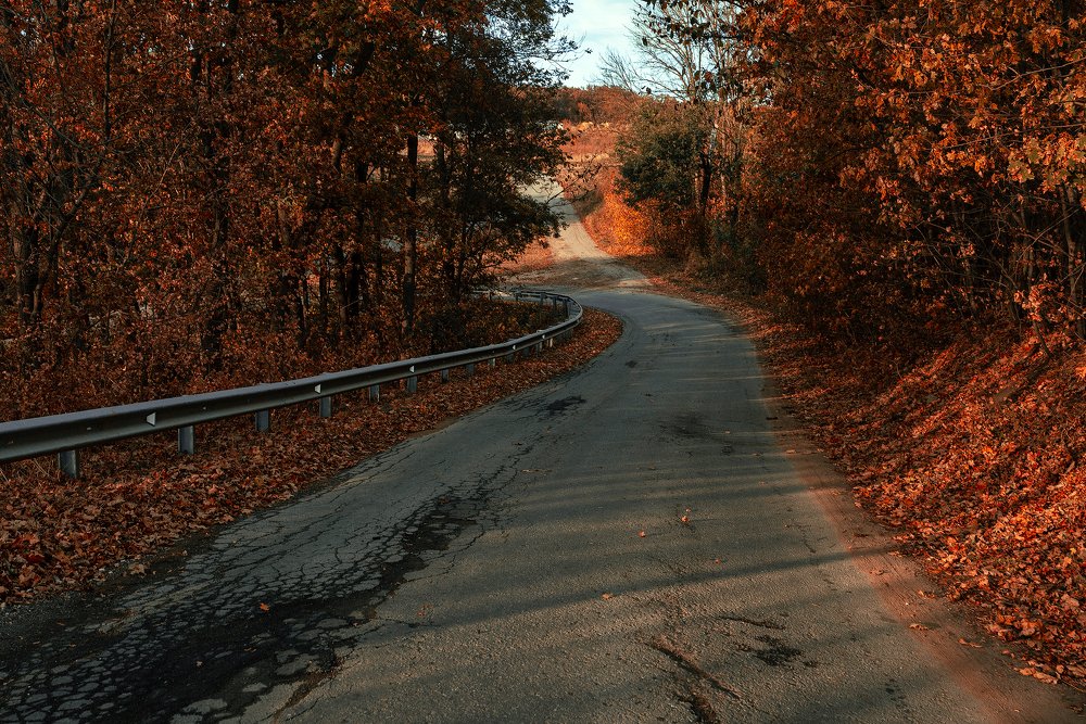 Photograph by Илья Костин