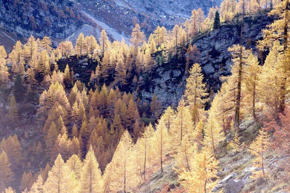 Фотография автора Ольга
