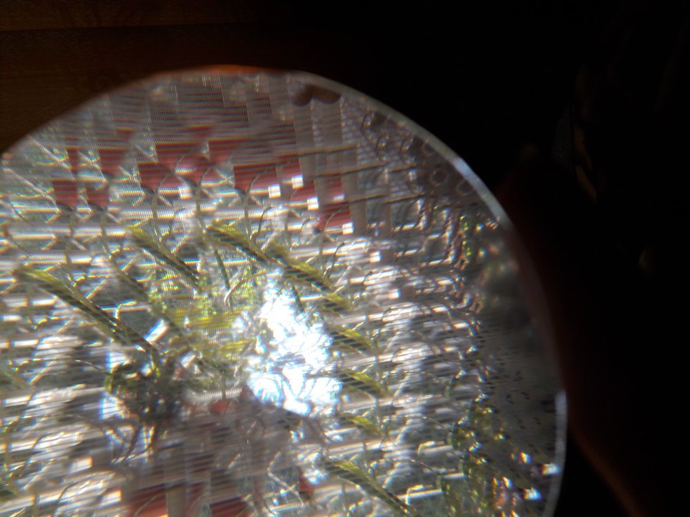 Photograph by Елизавета Можельская