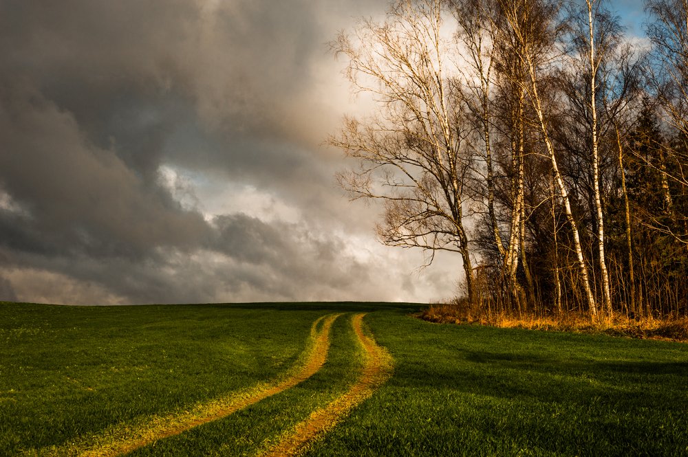 Ноябрь, начало