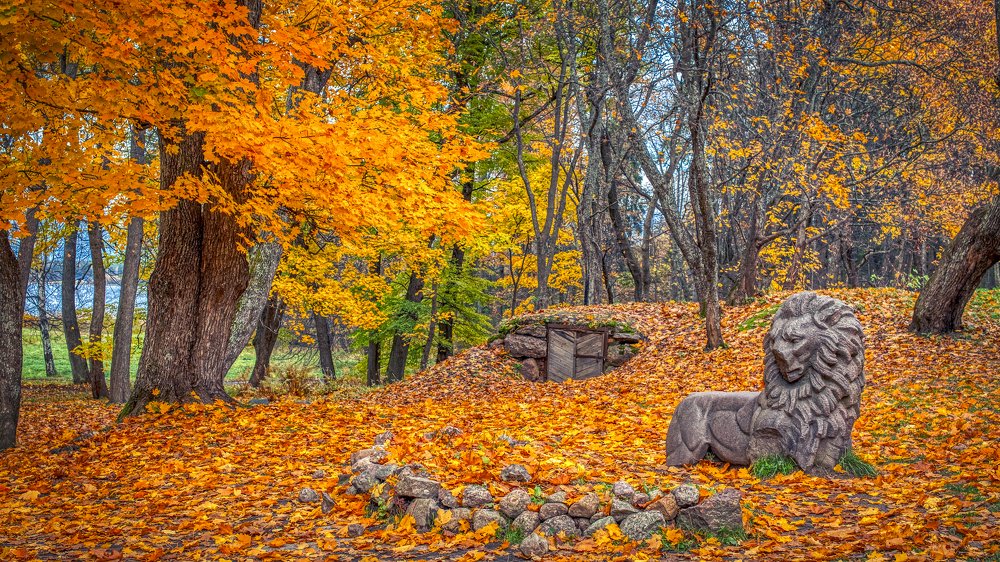 Осень в парке Монрепо