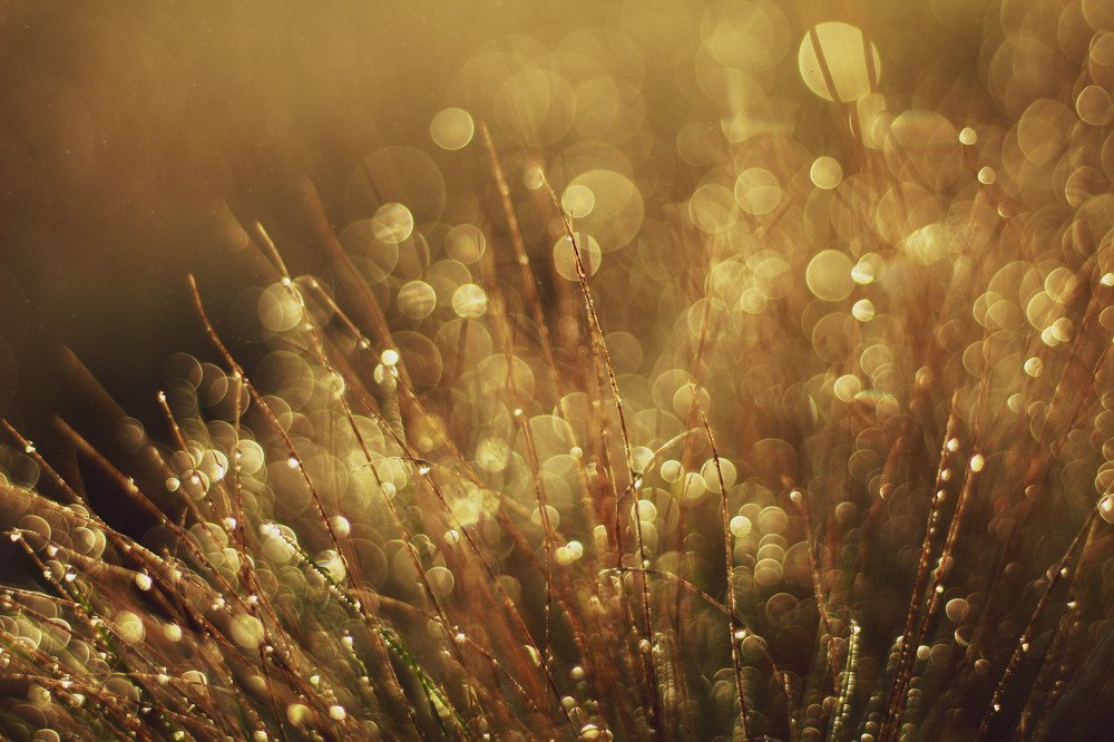 Photograph by Наталья Исиченко