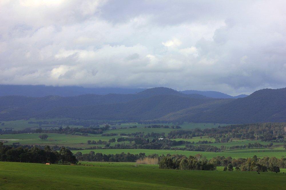 Photograph by Shrinivas Kulkarni