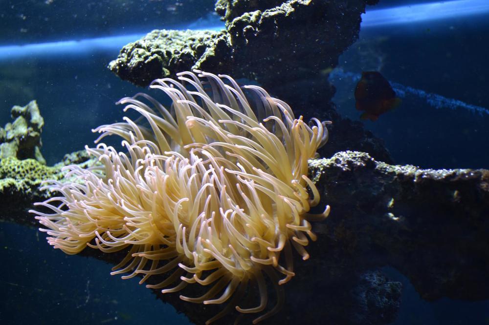 Photograph by Анжелика Трошина