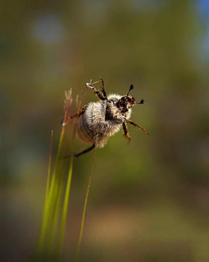 Photograph by Сергей Колос