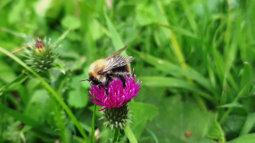 Photograph by Татьяна Котельникова