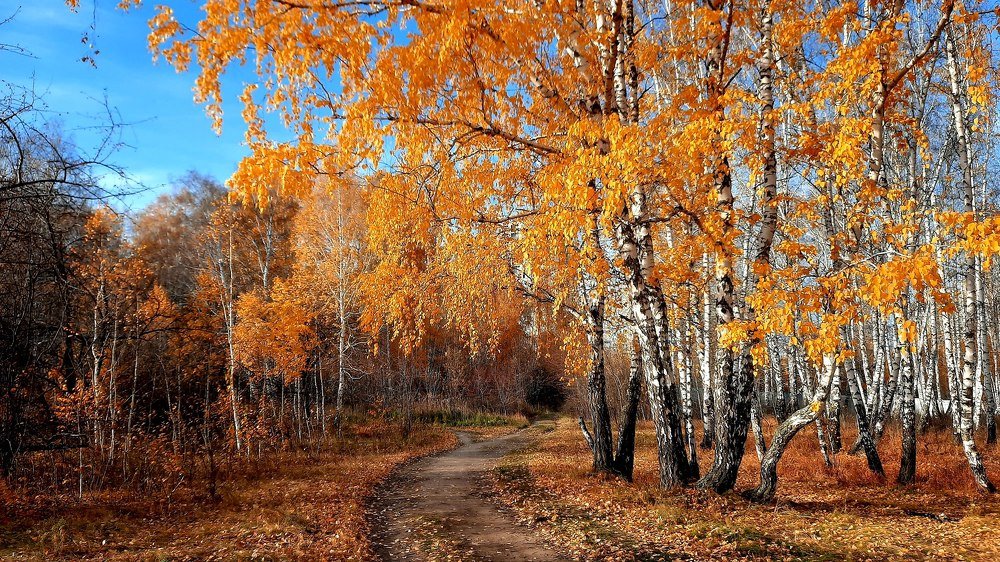 Осень Золотая - королева бала ...