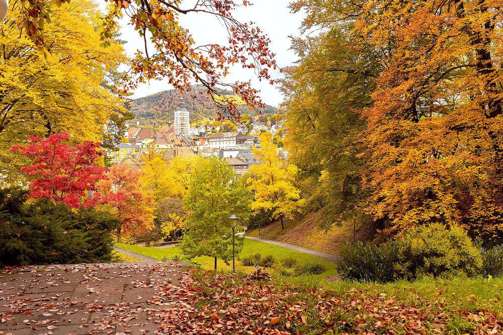 Photograph by Galina Samoylovich