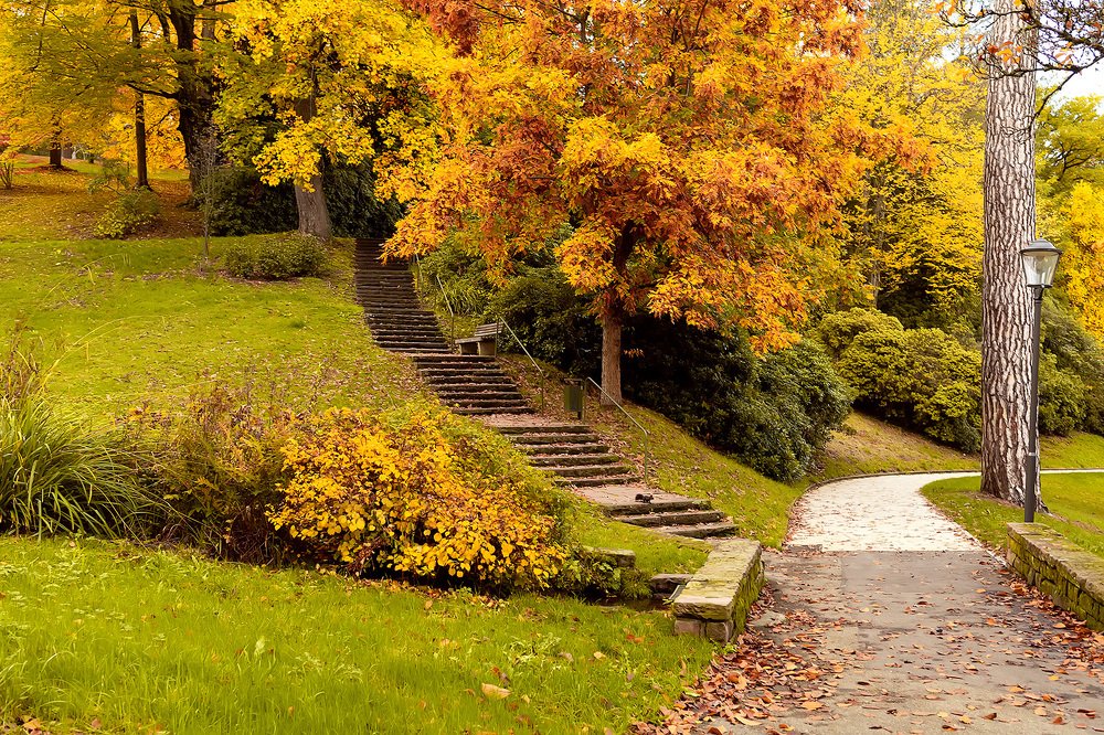 Photograph by Galina Samoylovich