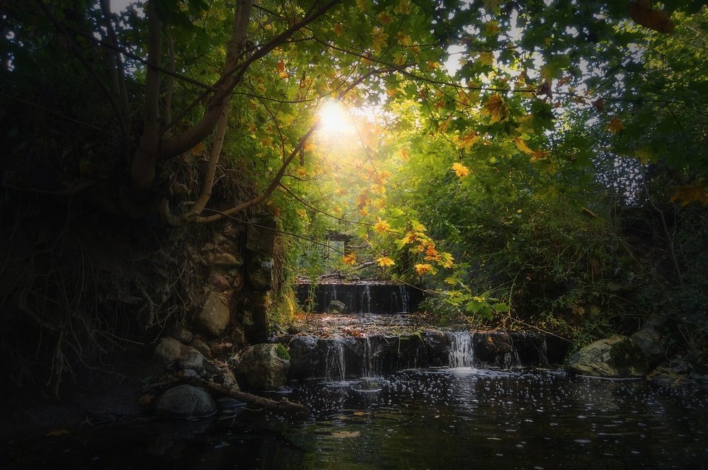 Photograph by Павел Кухоренко