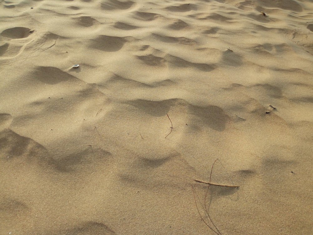 Photograph by Юлия