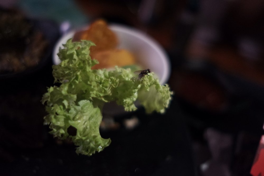 Photograph by Hussman Hawari