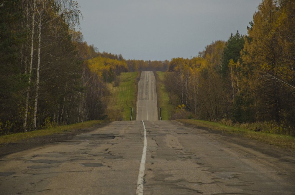Фотография автора Алексей Сучков