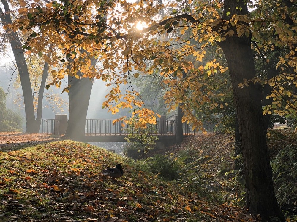 Photograph by Анатолий Андреев