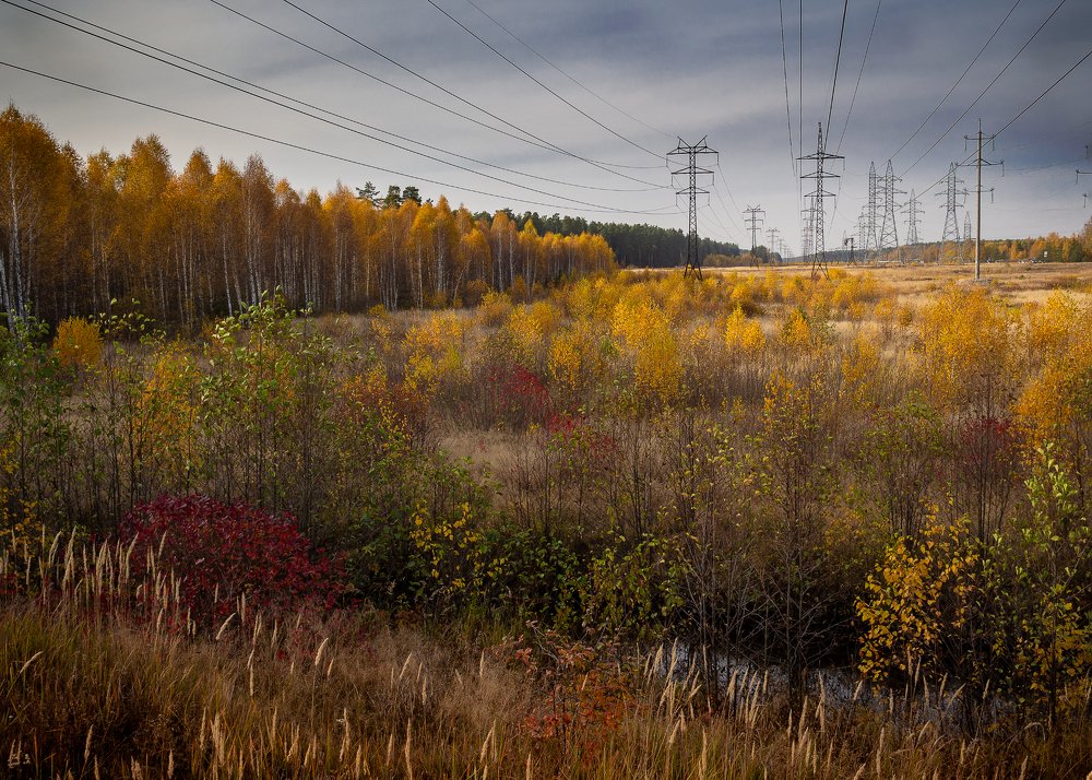 Фотография автора владимир шаронов