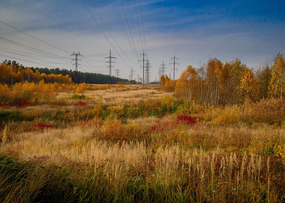Фотография автора владимир шаронов