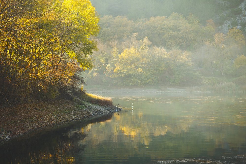 Photograph by Елена Шпагина