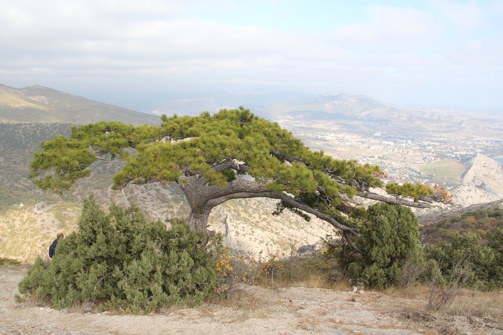 Photograph by иван антоненко