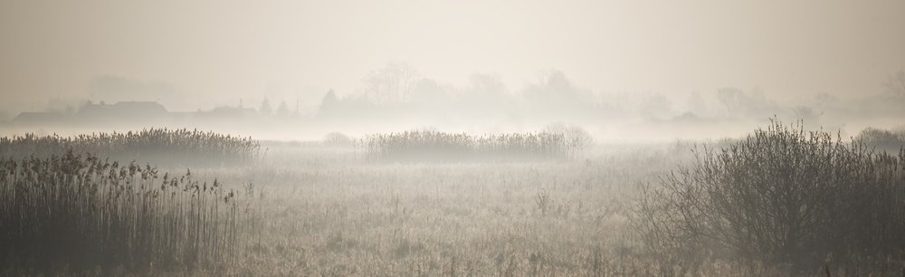 Photograph by Andrzej Andrychowski