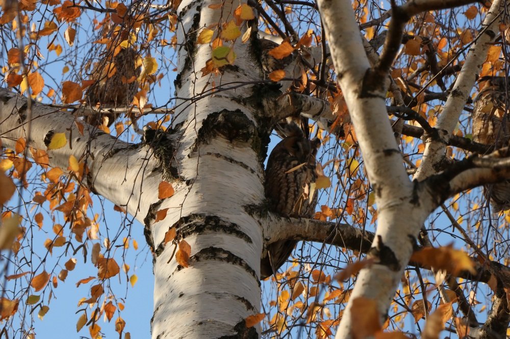 Photograph by Ксения Левченко