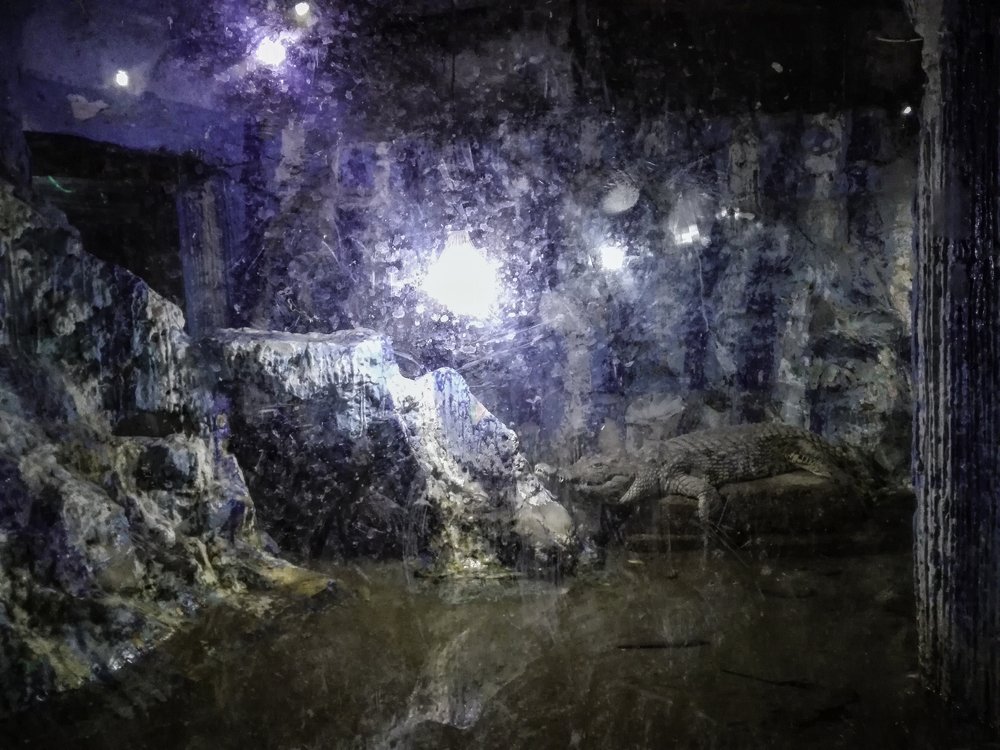 Photograph by Helmy Moataz