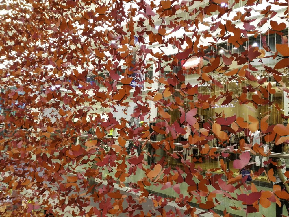 Photograph by Helmy Moataz