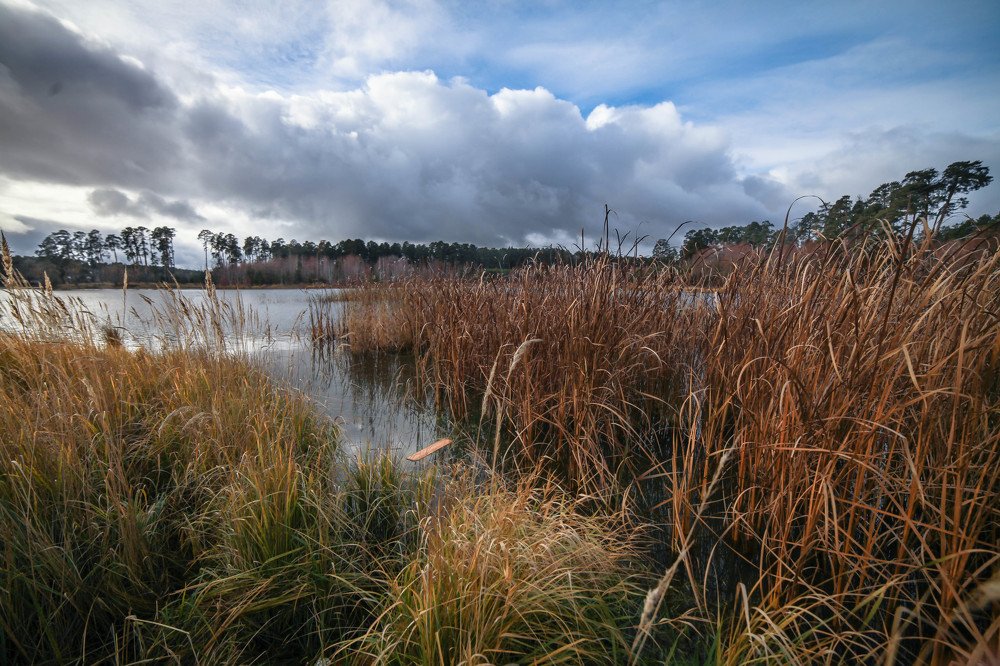 Photograph by Светлана Кавказская
